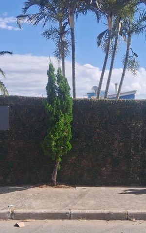 Casa à venda com 300m², 6 quartos e 2 vagas