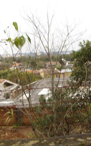 Casa à venda com 1874m², 4 quartos e 4 vagas Casa à venda com 1874m², 4 quartos e 4 vagasÁrea Externa