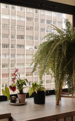 Studio à venda com 25m², 1 quarto e sem vagaVaranda