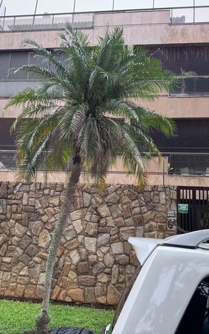 Apartamento à venda com 193m², 4 quartos e 3 vagas Apartamento à venda com 193m², 4 quartos e 3 vagasFachada