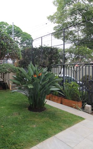 Casa à venda com 412m², 7 quartos e 5 vagasGaragem