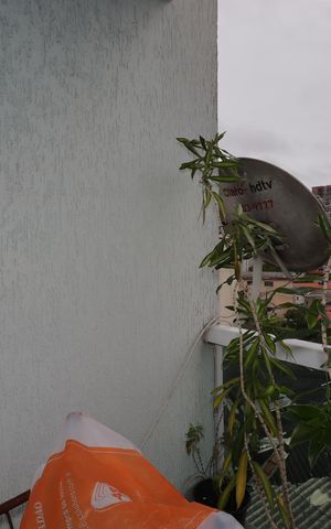 Apartamento para alugar com 54m², 2 quartos e 1 vagaSacada da Suíte