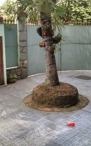 Casa à venda com 190m², 3 quartos e 3 vagas