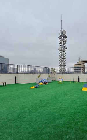 Studio para alugar com 24m², 0 quarto e sem vagaEspaço Pet 