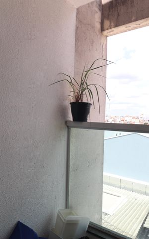 Apartamento à venda com 62m², 2 quartos e 1 vagaVaranda da Sala