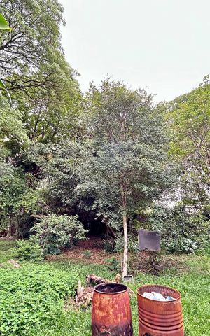 Casa à venda com 200m², 3 quartos e 5 vagas Casa à venda com 200m², 3 quartos e 5 vagasQuintal