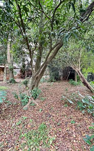 Casa à venda com 200m², 3 quartos e 5 vagas Casa à venda com 200m², 3 quartos e 5 vagasQuintal