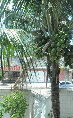 Casa à venda com 300m², 3 quartos e 5 vagasVista da Suíte Master