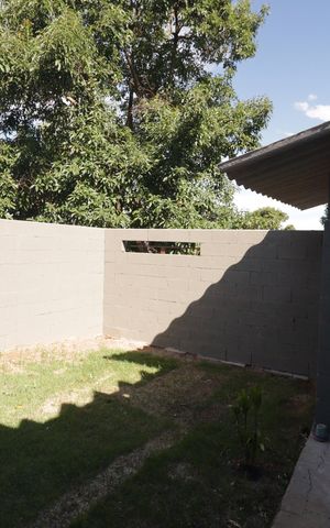 Casa à venda com 5000m², 2 quartos e 3 vagasQuintal