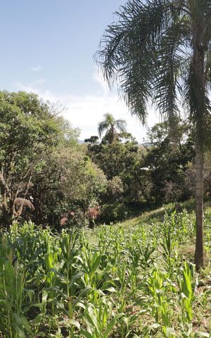 Casa à venda com 5000m², 2 quartos e 3 vagasQuintal