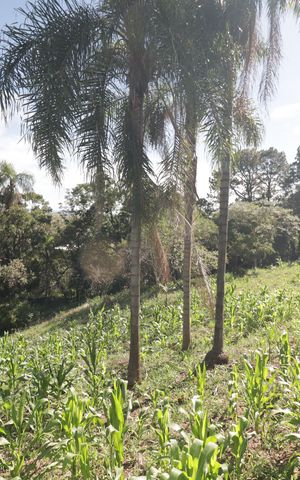 Casa à venda com 5000m², 2 quartos e 3 vagasQuintal