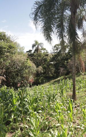 Casa à venda com 5000m², 2 quartos e 3 vagasQuintal