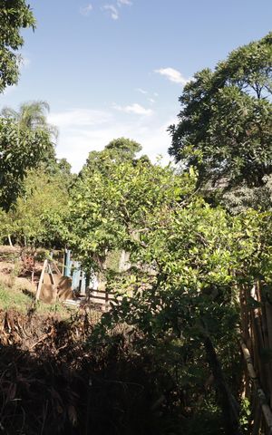 Casa à venda com 5000m², 2 quartos e 3 vagasQuintal