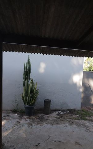 Casa à venda com 5000m², 2 quartos e 3 vagasQuintal