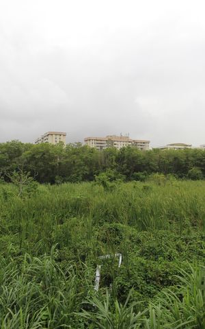 Apartamento para alugar com 47m², 1 quarto e sem vagaQuarto - Vista
