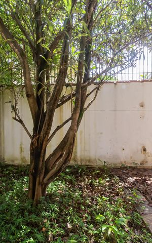 Casa à venda com 360m², 5 quartos e sem vagaVista da Sala 1