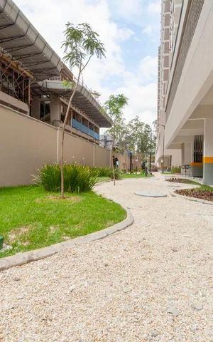 Apartamento à venda com 39m², 2 quartos e sem vaga Apartamento à venda com 39m², 2 quartos e sem vagaPista Caminhada