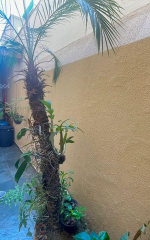 Casa à venda com 175m², 3 quartos e 4 vagas Casa à venda com 175m², 3 quartos e 4 vagasCorredor externo
