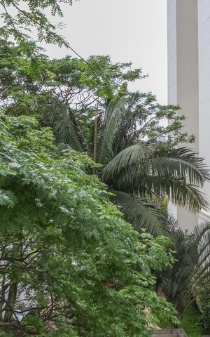 Apartamento à venda com 48m², 2 quartos e 1 vaga Apartamento à venda com 48m², 2 quartos e 1 vagaVista do Quarto 1