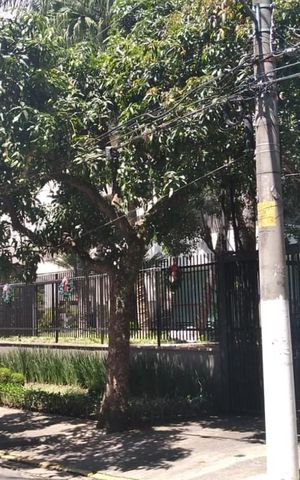 Apartamento à venda com 70m², 3 quartos e 1 vagaFachada