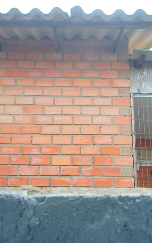 Casa à venda com 120m², 3 quartos e 2 vagasVista do Quarto 1