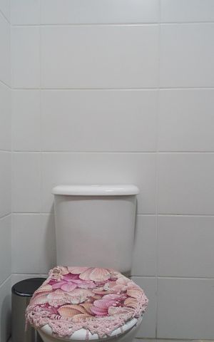 Casa de condomínio à venda com 48m², 2 quartos e 2 vagasBanheiro