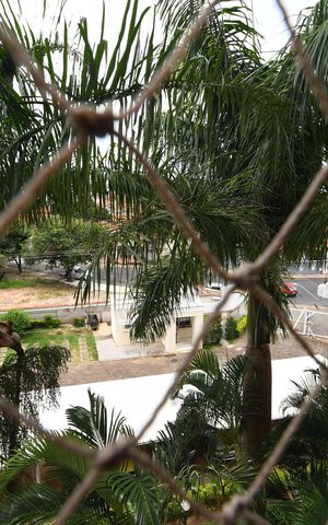 Apartamento para alugar com 60m², 2 quartos e 1 vagaQuarto 1 - Vista