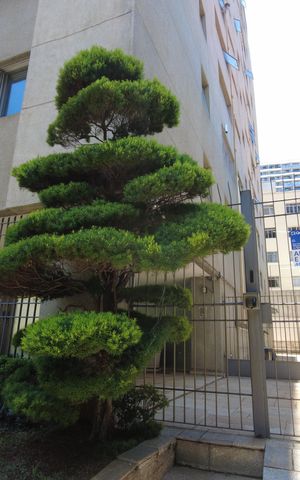 Apartamento à venda com 112m², 3 quartos e 1 vagaPlaquinha