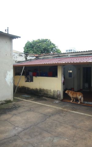 Casa para alugar com 105m², 2 quartos e 10 vagasQuintal