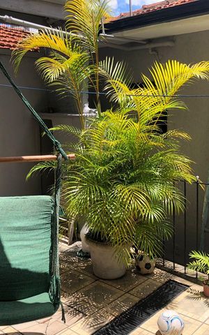 Casa à venda com 142m², 4 quartos e 1 vaga