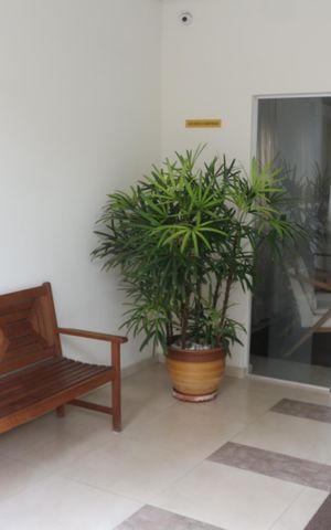 Apartamento à venda com 70m², 2 quartos e 1 vagaHall social