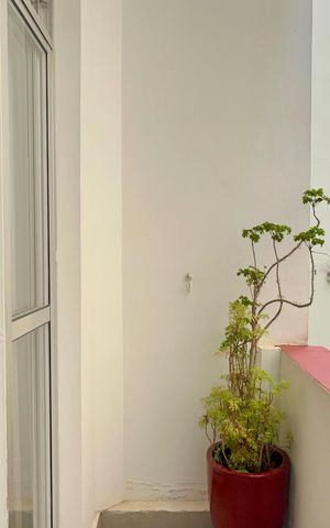 Apartamento à venda com 83m², 2 quartos e 1 vagaSacada
