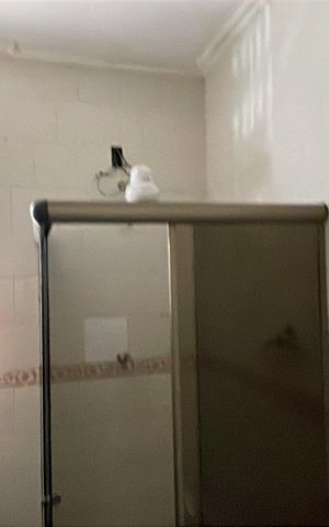 Casa para alugar com 300m², 4 quartos e 5 vagas Casa para alugar com 300m², 4 quartos e 5 vagasBanheiro 2