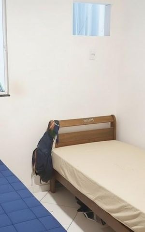 Apartamento para alugar com 45m², 2 quartos e sem vaga Apartamento para alugar com 45m², 2 quartos e sem vagaQuarto