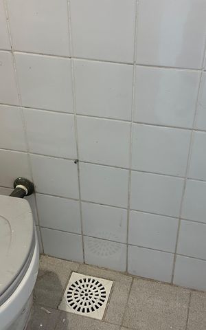 Apartamento para alugar com 83m², 3 quartos e 1 vaga Apartamento para alugar com 83m², 3 quartos e 1 vagaBanheiro social