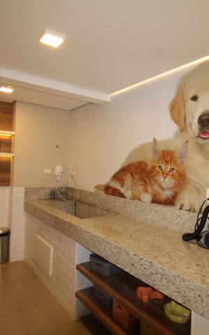 Apartamento à venda com 31m², 1 quarto e sem vagaÁrea Comum - Petshop