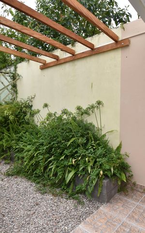 Studio para alugar com 30m², 1 quarto e sem vagaÁrea comum