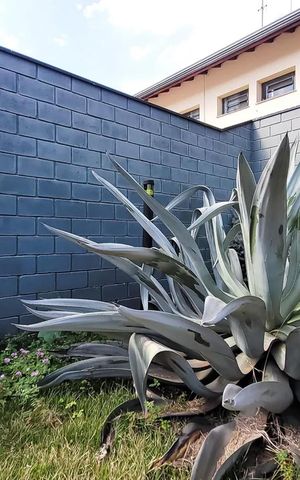 Casa à venda com 400m², 4 quartos e 4 vagas