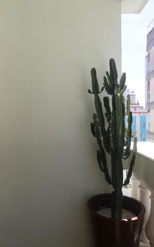 Apartamento para alugar com 80m², 2 quartos e 1 vaga Apartamento para alugar com 80m², 2 quartos e 1 vagaVaranda