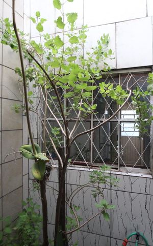 Casa à venda com 120m², 3 quartos e 1 vagaDetalhe