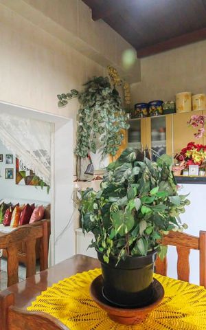 Casa à venda com 125m², 2 quartos e 3 vagas Casa à venda com 125m², 2 quartos e 3 vagasCozinha