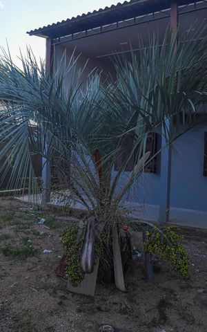 Casa para alugar com 200m², 2 quartos e 3 vagas Casa para alugar com 200m², 2 quartos e 3 vagasQuintal