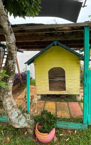 Casa de condomínio para alugar com 581m², 4 quartos e 3 vagas Casa de condomínio para alugar com 581m², 4 quartos e 3 vagasQuintal