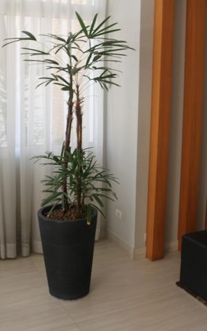 Apartamento à venda com 107m², 3 quartos e 2 vagasHall social