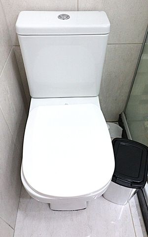 Apartamento para alugar com 50m², 2 quartos e 1 vagaBanheiro