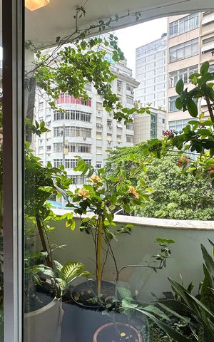 Apartamento à venda com 231m², 4 quartos e 1 vaga