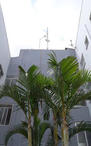 Apartamento à venda com 45m², 2 quartos e 1 vagaÁrea comum - Prédio