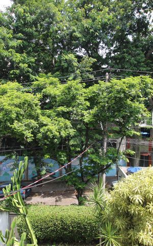 Casa à venda com 340m², 3 quartos e 4 vagasSala - Varanda