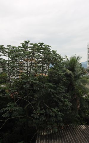 Apartamento à venda com 72m², 2 quartos e 1 vagaSuíte - Vista