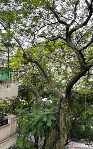 Apartamento à venda com 103m², 3 quartos e 1 vaga